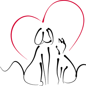 Team Page: Pennsylvania BVSPCA Staff Team